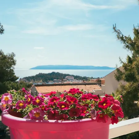 Appartement Mazarini *